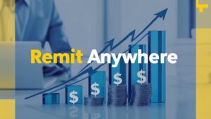 Money transfer operators